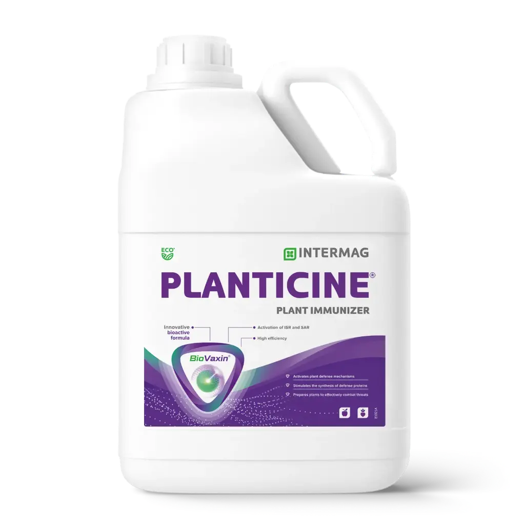 PLANTICINE®