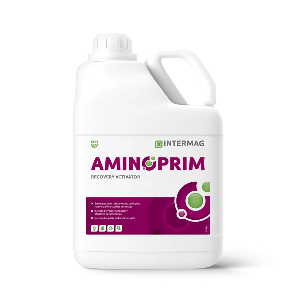 AMINOPRIM®
